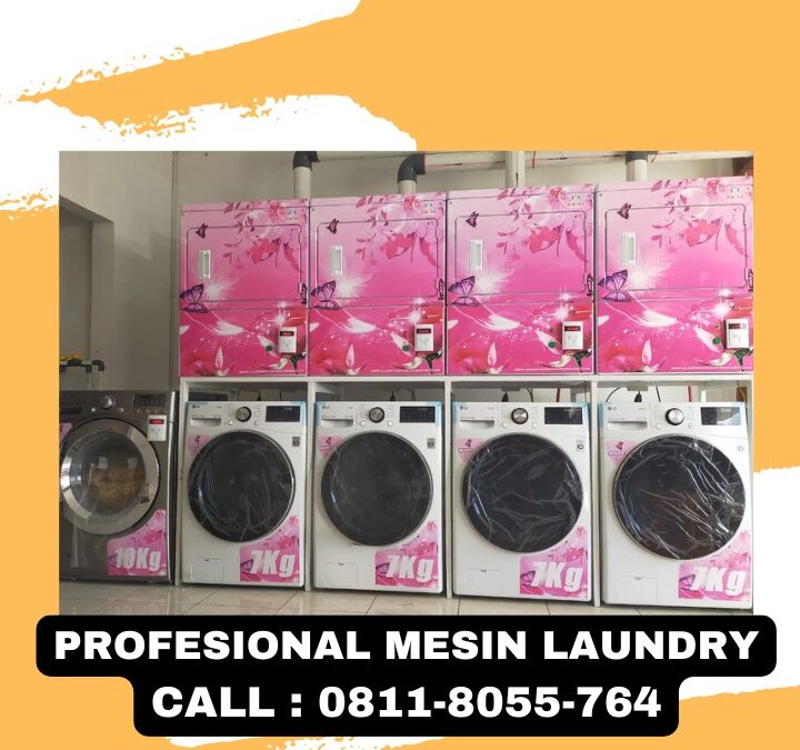 Jual mesin laundry Sigi