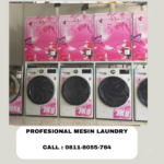 Jual mesin laundry Gianyar